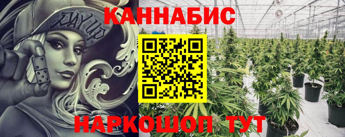 Бошки Шишки сатива Биробиджан